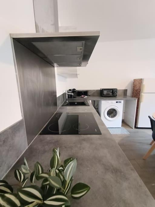 Apartamento Le Grand Republicaint2 Le Péage-de-Roussillon Exterior foto